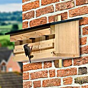 Dobar Nistkasten für Spatzen (50 x 22 x 30 cm, Holz, Natur) | BAUHAUS