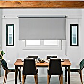 Estor enrollable opaco NDC (An x Al: 200 x 250 cm, Gris) | BAUHAUS