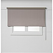 Estor enrollable opaco NDC (An x Al: 200 x 250 cm, Taupé) | BAUHAUS
