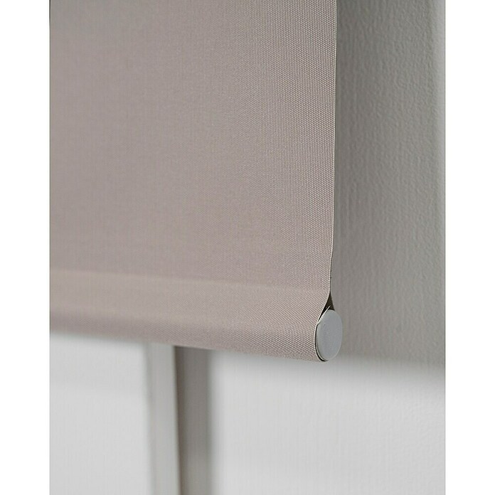 Estor enrollable opaco NDC (An x Al: 200 x 250 cm, Taupé) | BAUHAUS