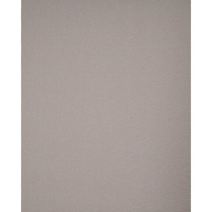 Estor enrollable opaco NDC (An x Al: 200 x 250 cm, Taupé) | BAUHAUS