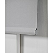 Estor enrollable opaco NDC (An x Al: 200 x 250 cm, Gris) | BAUHAUS