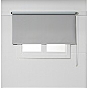 Estor enrollable opaco NDC (An x Al: 200 x 250 cm, Gris) | BAUHAUS