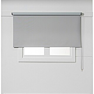 Estor enrollable opaco NDC (An x Al: 200 x 250 cm, Gris)