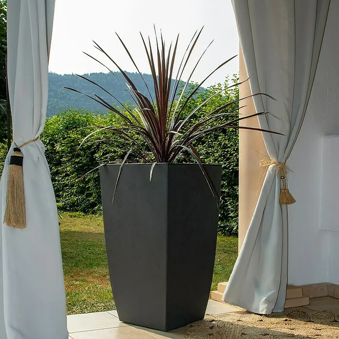 Pflanztopf Diva Basalt - Außenmaß (L x B x H): 43,5 x 43,5 x 78,2 cm, Kunststoff, Anthrazit - Hoher, dunkelgrauer, konischer Pflanzkübel mit Pflanze im Außenbereich.