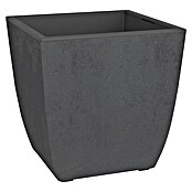 Pflanztopf Diva Basalt (Kunststoff, Anthrazit, L x B x H: 43,5 x 43,5 x 44,2 cm) | BAUHAUS