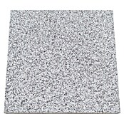 Granitplatte G 603 (Grau, 40 x 40 x 3 cm, Granit) | BAUHAUS