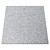 Granitplatte G 603 (Grau, 60 x 60 x 3 cm, Granit) | BAUHAUS
