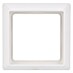 Busch-Jaeger Allwetter Abdeckrahmen 2101-34 