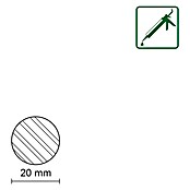 Rundstab Eiche (Ø x L: 20 x 100 mm) | BAUHAUS