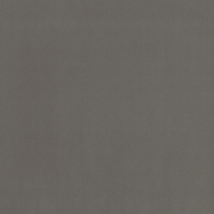 Sockelleiste FU062L (L x B x H: 2 400 x 15 x 58 mm, MDF, Grau RAL7037) | BAUHAUS