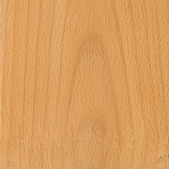 Sockelleiste SF253L/SU153L (L x B x H: 2 500 x 16 x 58 mm, Buche) | BAUHAUS