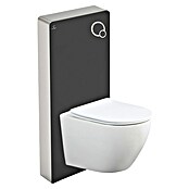 Set WC suspendido Cristal Pisa (Sin borde de descarga, Negro, 2 pzs.) | BAUHAUS