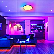 Arte confort Plafón LED redondo Nimsa (24 W, Ø x Al: 42 x 26 cm, Blanco, RGBW) | BAUHAUS