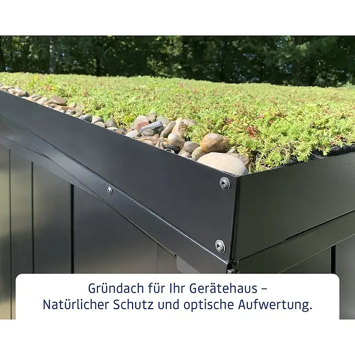 EcoStar Dachrahmen - Passend für: EcoStar Gerätehaus Euroline Trend, Grau - Gründach mit Sedum-Pflanzen und Kies auf einem Gerätehaus, eingefasst mit dunklem Metall. Bietet natürlichen Schutz und Aufwertung.