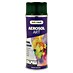 Dupli-Color Aerosol Art Sprayverf RAL 6005 Mosgroen 