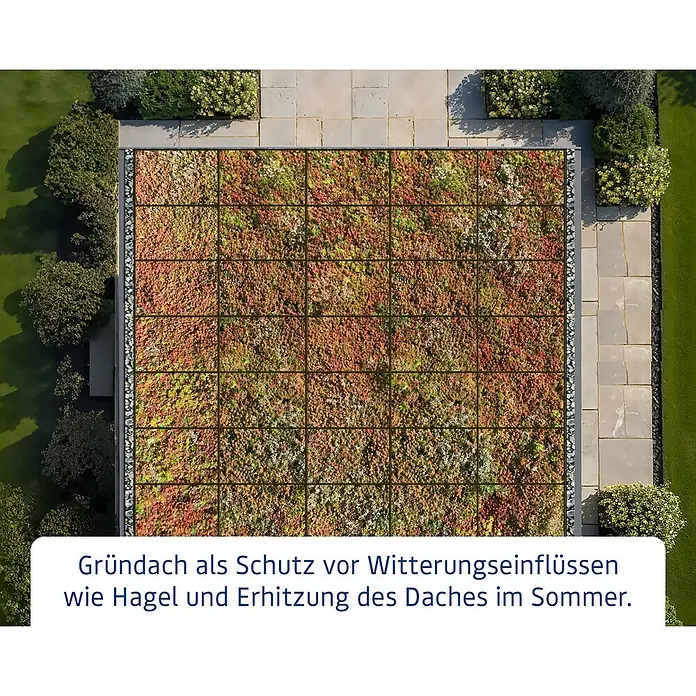 EcoStar Dachrahmen - Passend für: EcoStar Gerätehaus Euroline Trend, Grau - Blick von oben auf ein segmentiertes Gründach mit rotgrünen Sedumpflanzen, das vor Hagel und Sommerhitze schützt.
