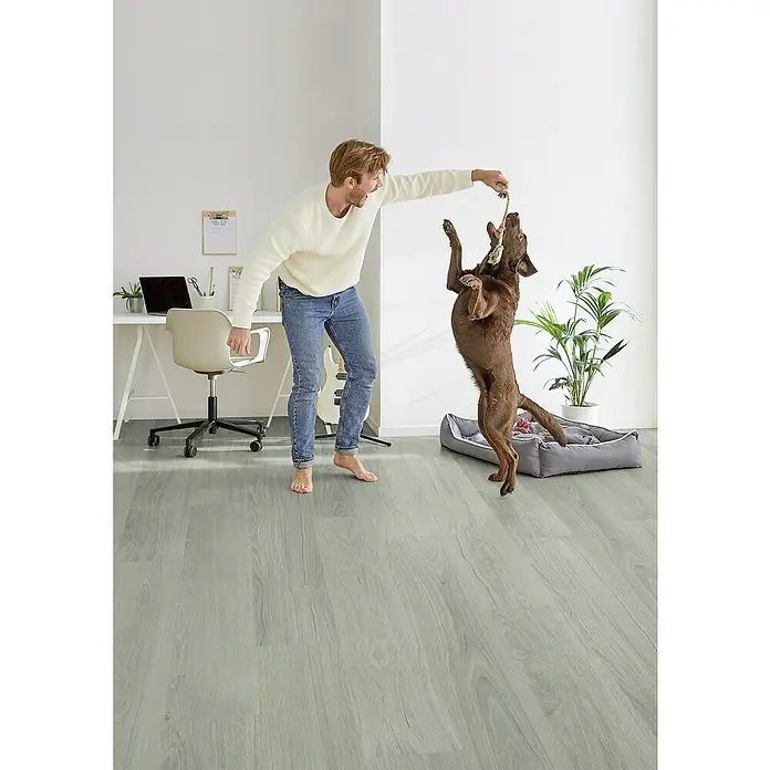 Decolife Designboden Freestyle Access Oak Clean Grey - 1.220 x 185 x 8,5 mm, Landhausdiele, Oak Clean Grey - Ein Mann spielt mit seinem Hund in einem Raum mit einem hellgrauen Holzboden, der das Zimmer hell und freundlich wirken lässt.