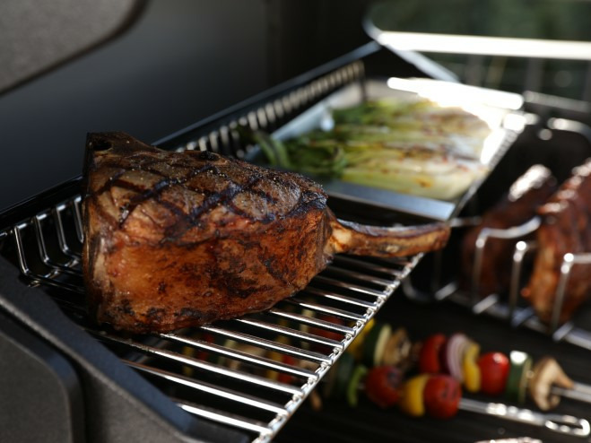 Snaga i temperatura plinskog roštilja