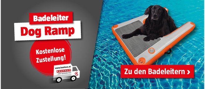 Badeleiter Dog Ramp in Aktion