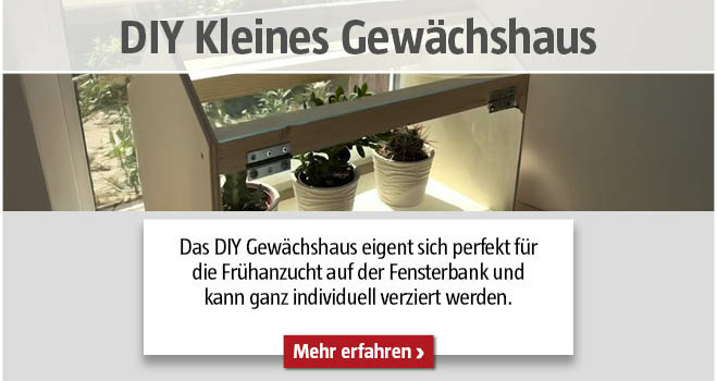 DIY Kleines Gewächshaus