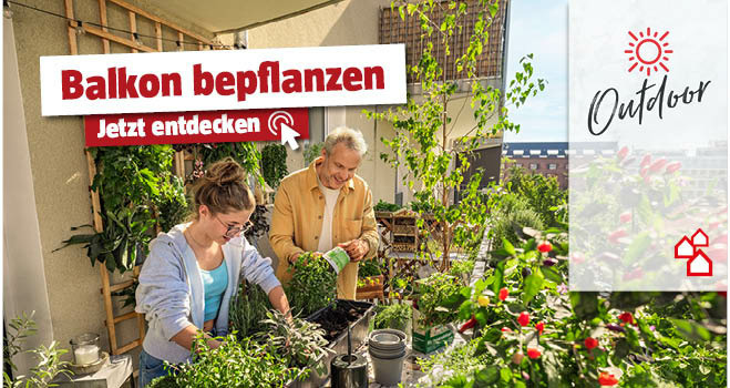 Balkon bepflanzen