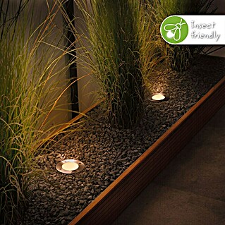 Paulmann Plug & Shine Bodeneinbauleuchte Floor insektenfreundlich (9,8 cm, Warmweiß, IP67)