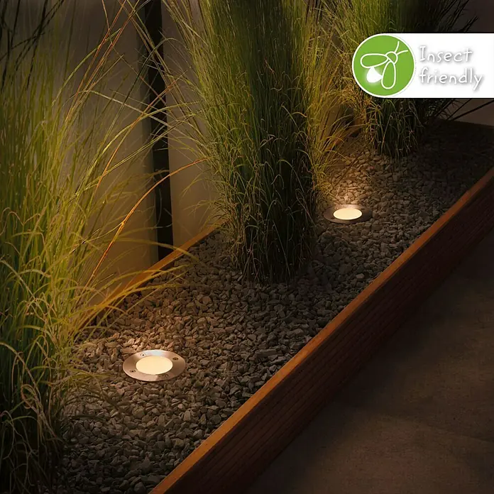 Paulmann Plug & Shine Bodeneinbauleuchte Floor insektenfreundlich - 9,8 cm, Bernstein, IP67, Silber - Warme weiße Bodeneinbauleuchten beleuchten Ziergräser in einem Kiesbeet.