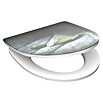 Schütte WC-Sitz Raindrop (Duroplast, Grün, Mit Absenkautomatik) | BAUHAUS