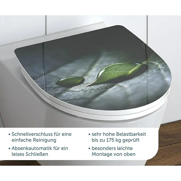 Schütte WC-Sitz Raindrop - Duroplast, Grün, Mit Absenkautomatik - WC-Sitz mit einem frischen Blatt-Design. Komfortable Absenkautomatik und schnelle Reinigung machen diesen Sitz ideal fürs Bad.