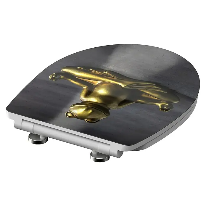 Schütte WC-Sitz Relaxing Frog - Duroplast, Grau/Gold, Mit Absenkautomatik - Elegante Toilettensitz mit goldenem Froschmotiv. Das perfekte Badaccessoire für einen Hauch von Luxus und Originalität in Ihrem Badezimmer.
