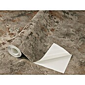 Tesa Rasch Strukturtapete Atlas (Selbstklebend, Betongrau, Betonoptik, 6 x 0,53 m) | BAUHAUS