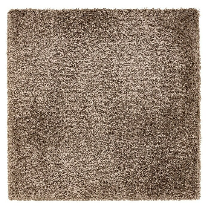 Teppichfliese Amazing (50 x 50 cm, Hochflor, 100 % Polyester, Beige) | BAUHAUS