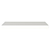 Regalux Wandboard XL4 (24 x 60 x 3,8 cm, Weiß, Belastbarkeit: 12 kg)