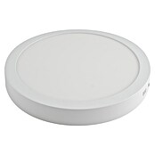Alverlamp Plafón LED redondo luz fría (30 W, Blanco, Ø x Al: 30 x 4 cm)