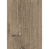Egger Laminaat NatureSense Bayford Eiken Grijs (2.050 x 246 x 10 mm, Planken, Grijs) | BAUHAUS