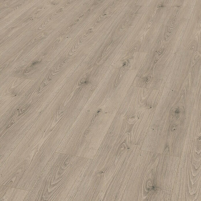 Egger Laminaat NatureSense Aqua Treviso Eiken Grijs (1.292 x 193 x 8 mm, Planken, Grijs) | BAUHAUS
