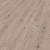Egger Laminaat NatureSense Aqua Treviso Eiken Grijs (1.292 x 193 x 8 mm, Planken, Grijs) | BAUHAUS