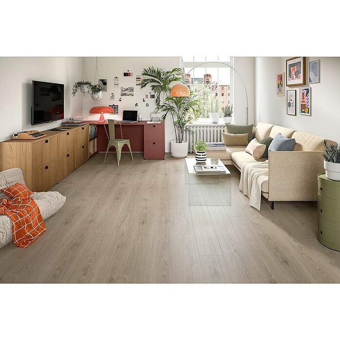 Egger Laminaat NatureSense Aqua Treviso Eiken Grijs (1.292 x 193 x 8 mm, Planken, Grijs) | BAUHAUS