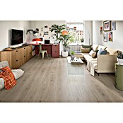 Egger Laminaat NatureSense Aqua Treviso Eiken Grijs (1.292 x 193 x 8 mm, Planken, Grijs) | BAUHAUS