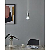 Eglo connect.z Ledlichtbron (6 W, 806 lm, 1 st.) | BAUHAUS