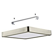 Eglo connect.z Led-plafondlamp FUEVA-Z (l x b x h: 21 x 21 x 2,8 cm, Dimbaar, Nikkel) | BAUHAUS