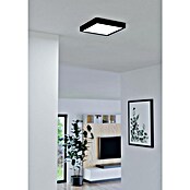 Eglo connect.z Led-plafondlamp FUEVA-Z (l x b x h: 21 x 21 x 2,8 cm, Dimbaar, Zwart) | BAUHAUS