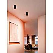 Eglo connect.z Led-spot CAROSSO-Z (Ø x h: 80 x 95 mm, 4,9 W) | BAUHAUS