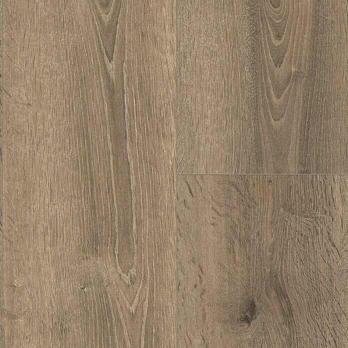 Egger Laminaat NatureSense Bayford Eiken Grijs (2.050 x 246 x 10 mm, Planken, Grijs) | BAUHAUS