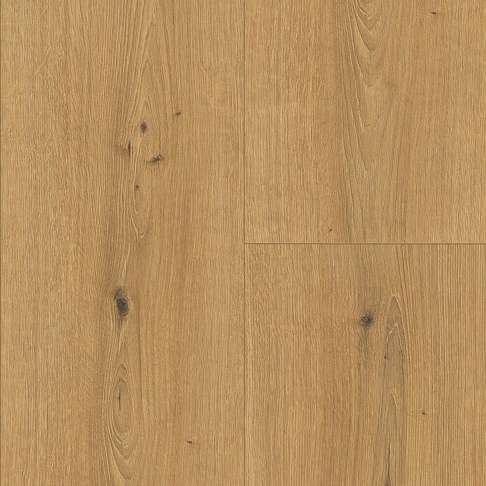 Egger Laminaat NatureSense Cadiz Eiken Honing (2.050 x 246 x 10 mm, Planken, Bruin) | BAUHAUS