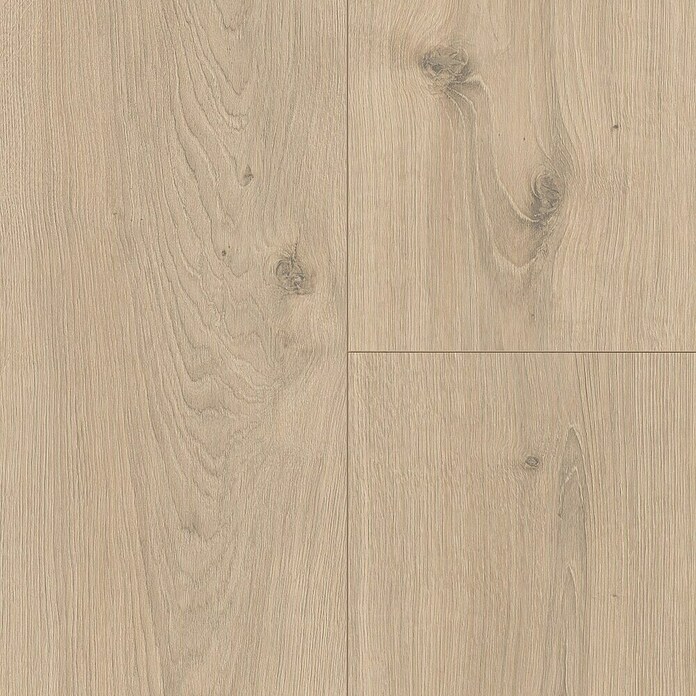 Egger Laminaat NatureSense Seefeld Eiken Crème (2.050 x 246 x 10 mm, Planken, Beige) | BAUHAUS