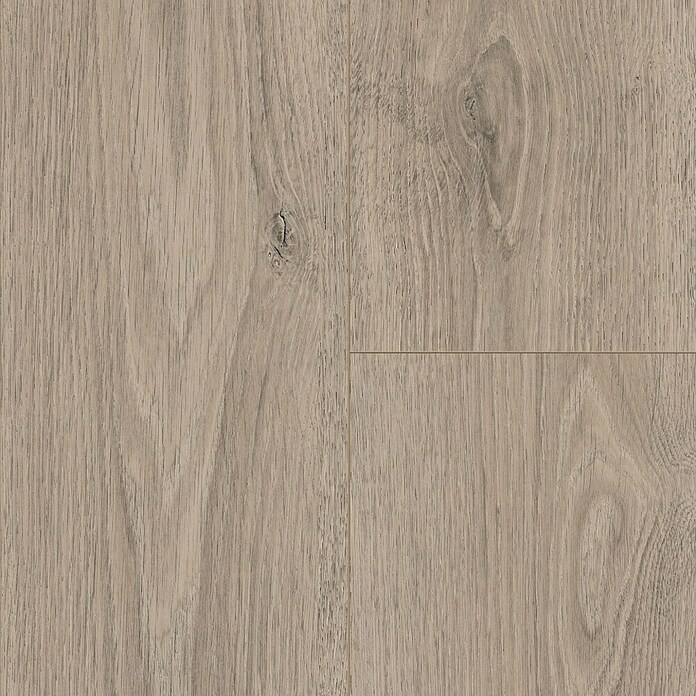 Egger Laminaat NatureSense Aqua Treviso Eiken Grijs (1.292 x 193 x 8 mm, Planken, Grijs) | BAUHAUS