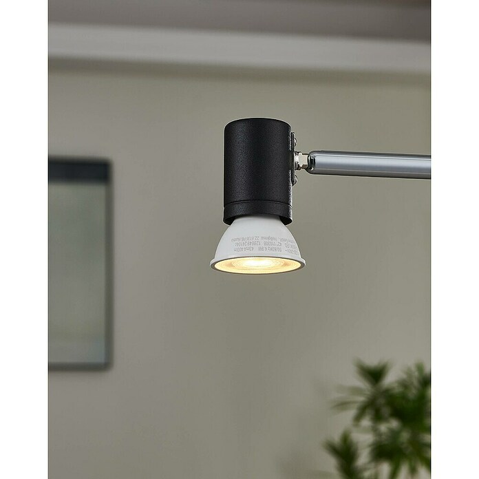 Eglo connect.z Ledlichtbron GU10 CCT (4,9 W, 400 lm) | BAUHAUS