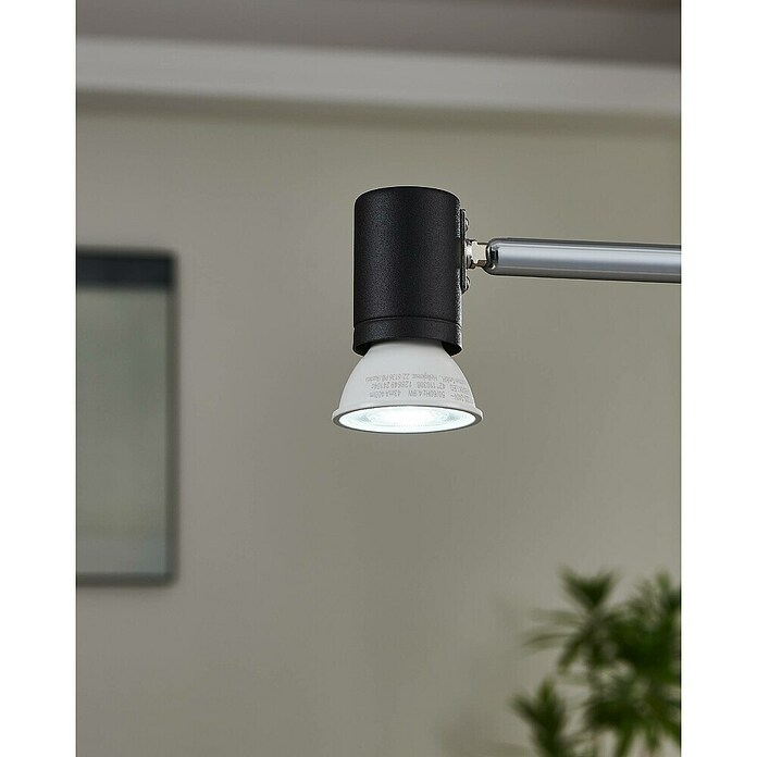 Eglo connect.z Ledlichtbron GU10 CCT (4,9 W, 400 lm) | BAUHAUS
